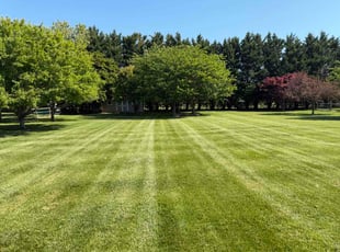 Dana C.'s lawn care services service result