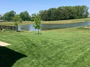 Morgan H.'s turf care service result