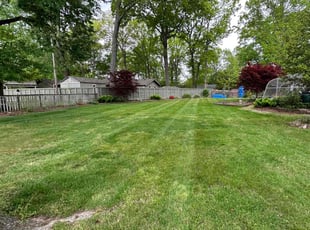 Robert M.'s lawn maintenance service result