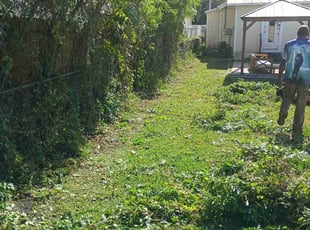 Gloria K.'s Bush Trimming service result