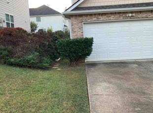 David T.'s Bush Trimming service result