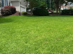 Michael A.'s yard work service result