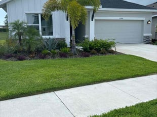 Sam B.'s lawn care services service result