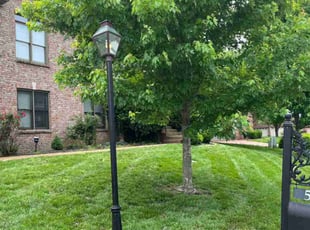 Naffeteria G.'s turf care service result