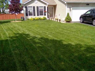 Mike A.'s turf maintenance service result