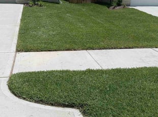 Trent F.'s lawn care services service result