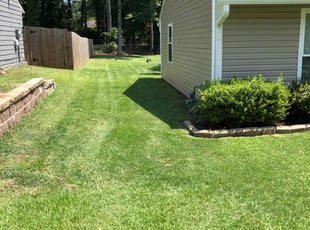 Tago T.'s lawn maintenance service result