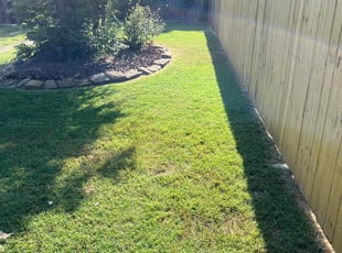 Heather D.'s turf maintenance service result