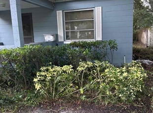 Glória A.'s Bush Trimming service result