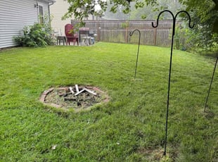 Lauren C.'s turf care service result
