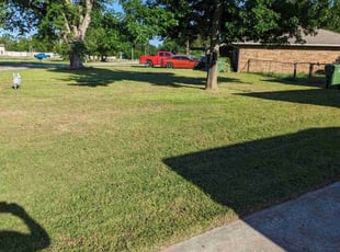 Kennisha B.'s turf care service result