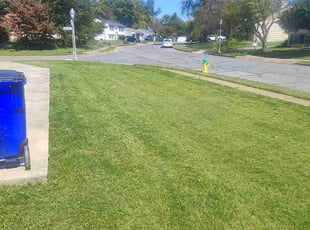 Rob H.'s turf care service result