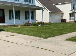 Shane T.'s turf maintenance service result