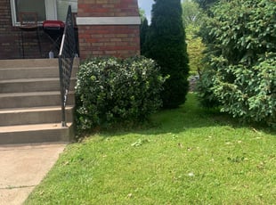 Edouard W.'s Bush Trimming service result