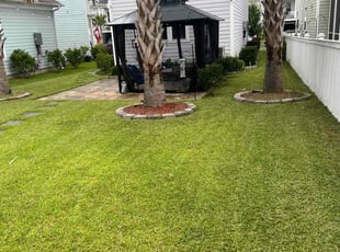 Kia M.'s lawn care services service result