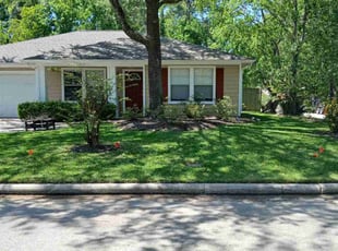 Alexandra L.'s lawn care services service result