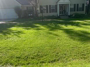 Gloria B.'s turf care service result