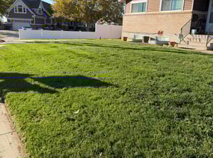 Yaning L.'s lawn service service result