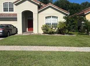 Trish A.'s lawn care services service result