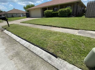 Flora F.'s turf maintenance service result