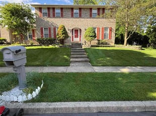 Jascelynn R.'s grass maintenance service result