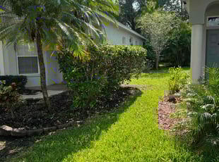 Jacqui C.'s grass maintenance service result