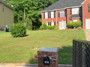 Paul M.'s grass cutting service result