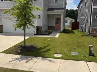 Jordan H.'s grass maintenance service result