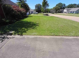 Warren C.'s lawn care services service result