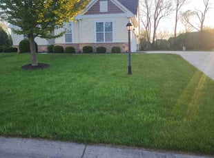 Matthew S.'s lawn service service result