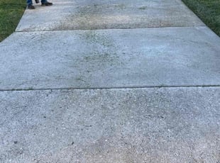 Celeste R.'s turf care service result