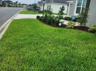 Jennifer H.'s grass maintenance service result