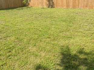 Stephen T.'s grass maintenance service result