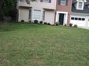 Chris K.'s turf care service result