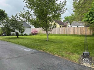 Kathy D.'s grass maintenance service result