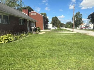 Gary M.'s grass maintenance service result