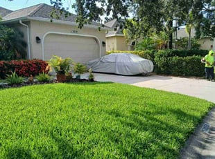 Jacqueline F.'s turf care service result