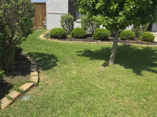 Sharon W.'s turf maintenance service result