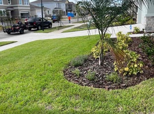 Lauren D.'s yard maintenance service result