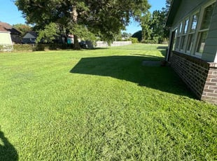 Kay S.'s grass cutting service result