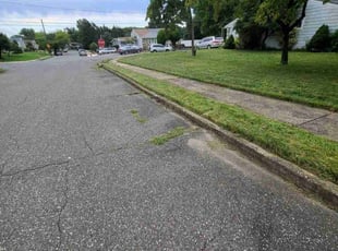 Diane J.'s turf care service result