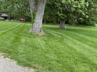 Kaleb M.'s lawn maintenance service result