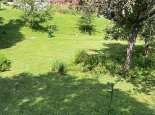Geneva Y.'s lawn maintenance service result