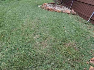 Linda M.'s turf care service result