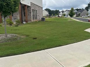 Jill J.'s lawn maintenance service result