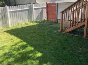 David T.'s grass cutting service result