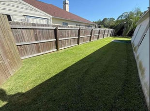 Brandon B.'s grass maintenance service result