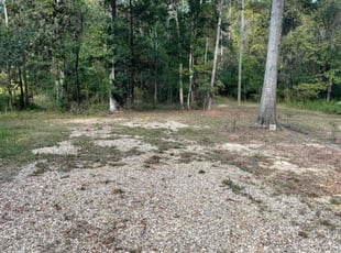 Yunjung M.'s lawn maintenance service result