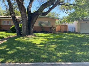 Daniel B.'s grass cutting service result