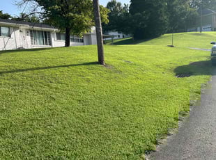 Shawn H.'s turf maintenance service result